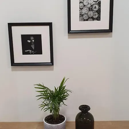 Apartamento Center Kaunas